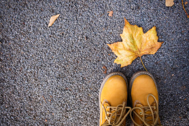istock Casual unisex boots with colorful autumn fallen leaves. 889023542