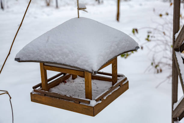 istock Feeder for birds in the park 889023550