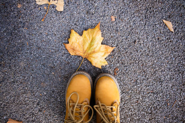 istock Casual unisex boots with colorful autumn fallen leaves. 889023558
