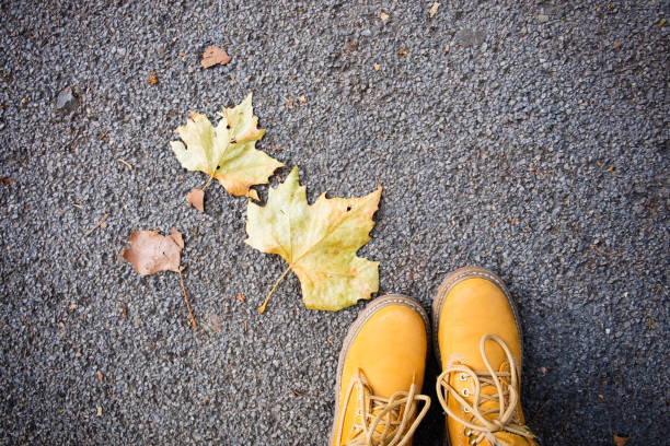 istock Casual unisex boots with colorful autumn fallen leaves. 889023652