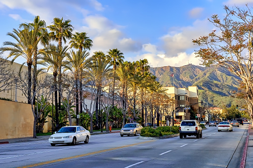 View of palm tree avenue and traffic in the city of Burbank, Southern California.