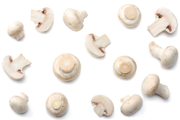 istock mushrooms isolated on white background. top view 889029458