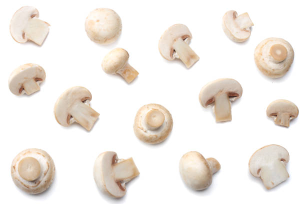 istock mushrooms isolated on white background. top view 889031284
