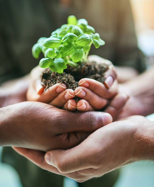 istock Gathered for the sake of growth 889031340