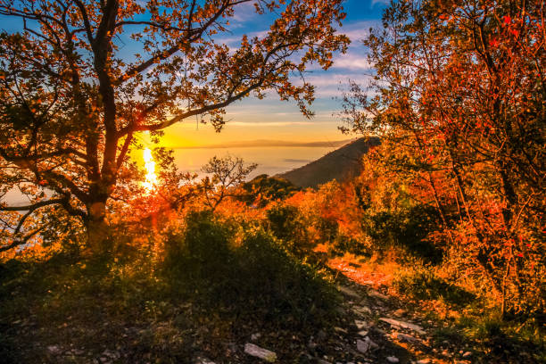 istock Late autumn landscape sunset in the mountain peak. 889031344