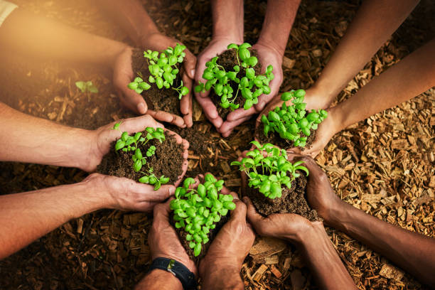 istock Working together for a green cause 889031346