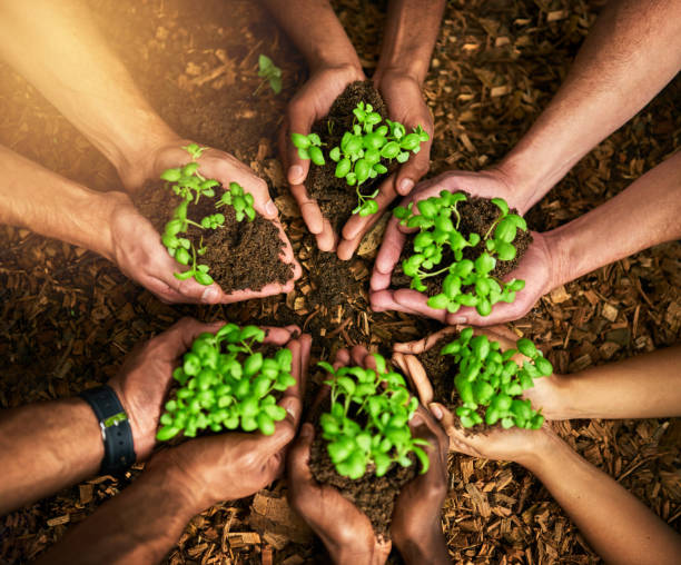 istock Grow it from the ground up 889031350