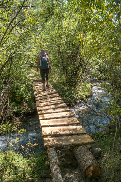 istock Crossing Cottonwood Creek 889032560