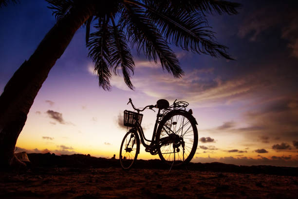 istock Bicycle on the beach near palm trees and ocean at sunset 889038476