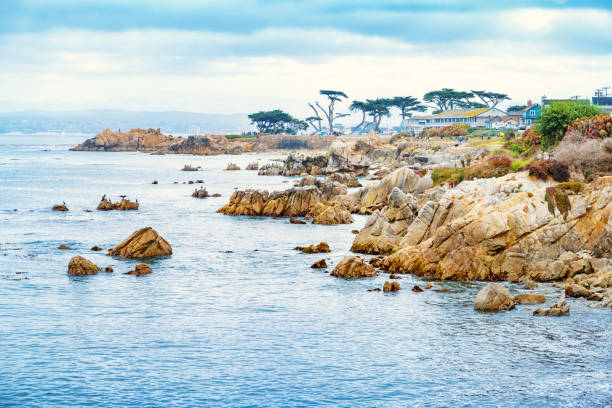 Coastline at Pacific Grove Lovers Point in Monterey California Landscape stock photograph of rocky and rough coastline at Pacific Grove and Lovers Point in Monterey, California, USA. pacific grove stock pictures, royalty-free photos & images