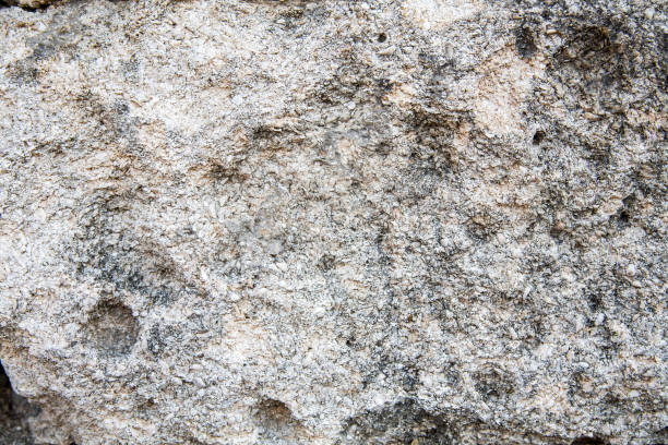 istock Wet stone sea coast in the background 889046520