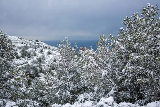 Calanques National Park, Snowy Summit Landscape and Sea in The Background
