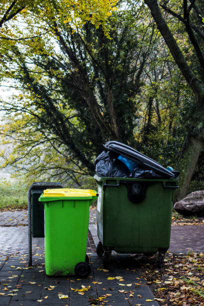 istock Full trash bins with bin bags on the streets in nature 889062564