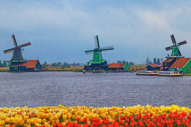 istock Windmills of Zaanse Schans, quiet village in Netherlands 889063272