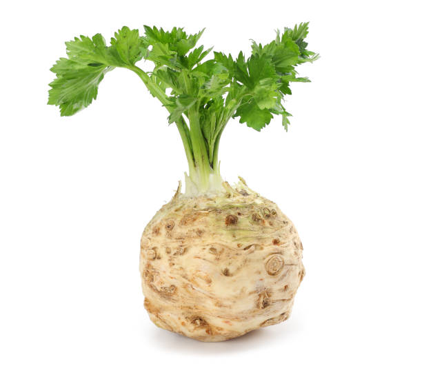 celery root with leaf isolated on white background. Celery isolated on white. Healthy food celery root with leaf isolated on white background. Celery isolated on white. Healthy food Celeriac stock pictures, royalty-free photos & images
