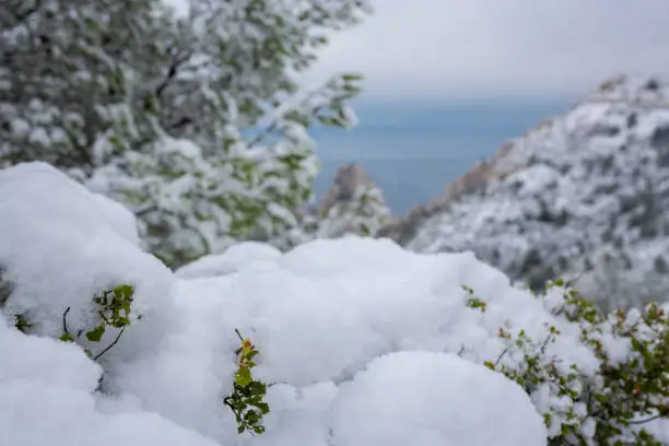 Calanques National Park, Snowy Summit Landscape and Sea in The Background