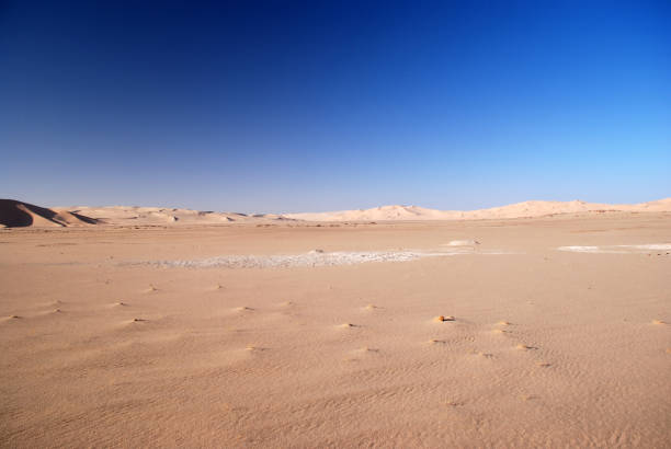 istock Panoramic view of sand dunes in desert Oman 889072660
