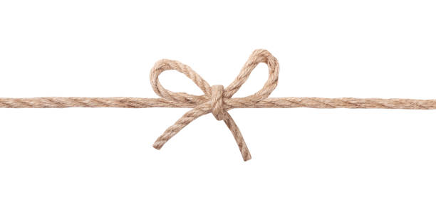 Rope line with tied bow isolated. Rope line with tied bow isolated.Decorative package string.Brown twine. lace fastener photos stock pictures, royalty-free photos & images