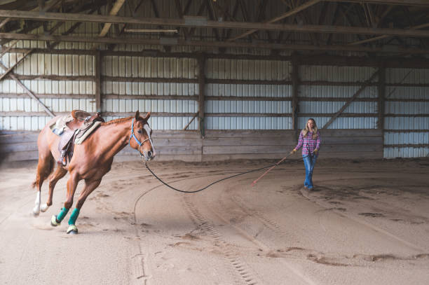 istock A Woman and Her Horse 889083122
