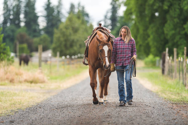istock A Woman and Her Horse 889083126