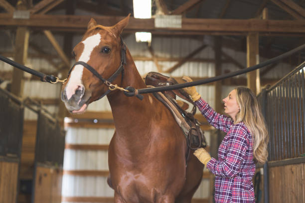 istock A Woman and Her Horse 889083132