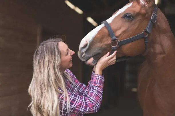 Owner affectionately rubs and pats her horse down in the stables.