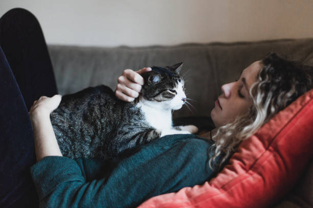 istock A beautiful young woman and a cat lying down on a sofa 889090468