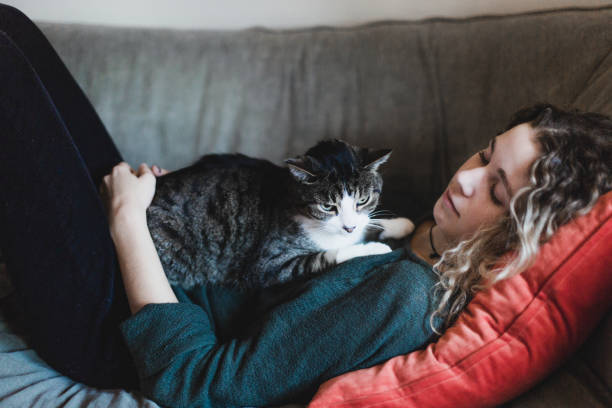 istock A beautiful young woman and a cat lying down on a sofa 889090502