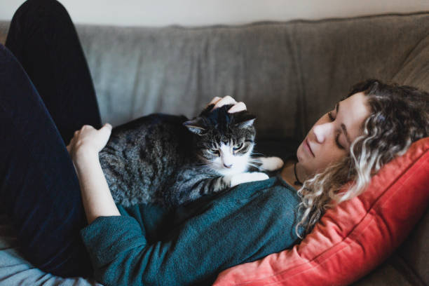 una hermosa joven y un gato tumbado en un sofá - women sofa teenage girls hairstyle fotografías e imágenes de stock