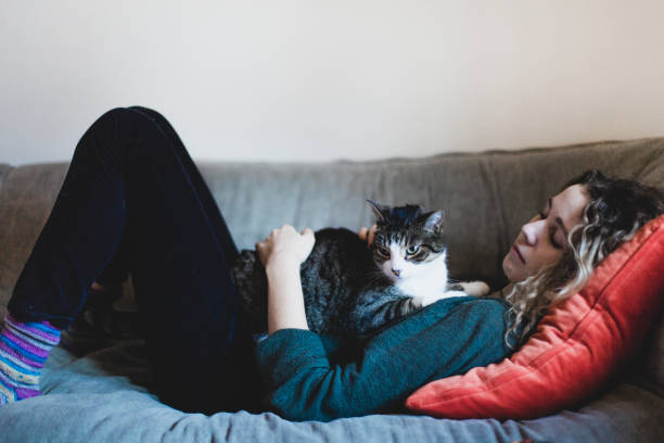 istock A beautiful young woman and a cat lying down on a sofa 889090542