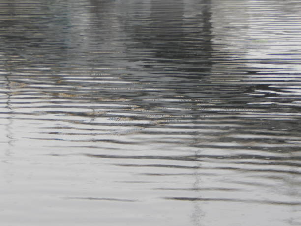 istock Texture of water in a river, surface in the rain, stains 889095788