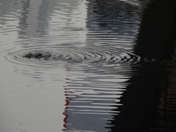 istock Texture of water in a river, surface in the rain, stains 889098644