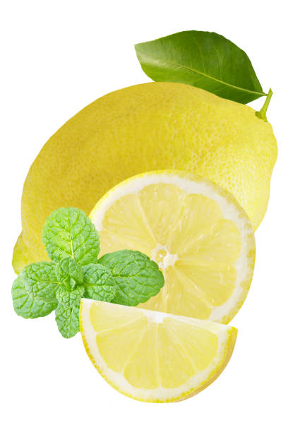 solated one whole lemon with slices and mint on white