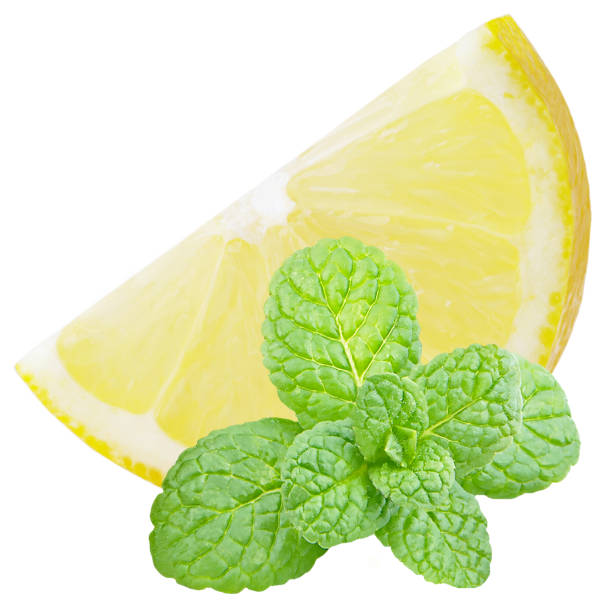 istock Slice lemon fruit with mint leaves isolated on white 889101496