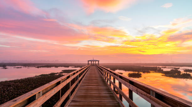 Calçadão em pântano com um algodão-doce colorido nascer do sol - foto de acervo