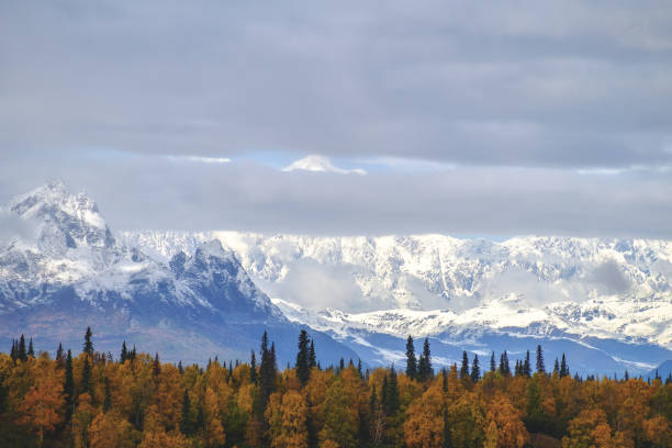 istock View of Mount McKinley (Denali Mountain) 889133250