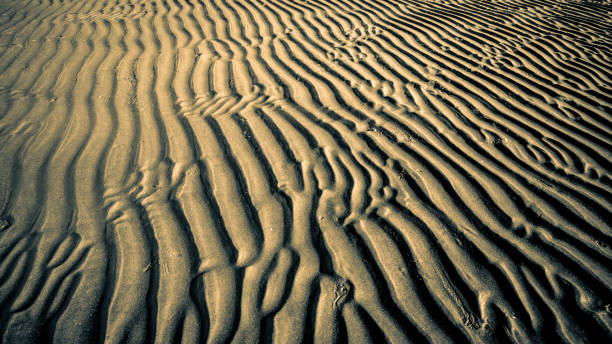 Linhas na areia - foto de acervo