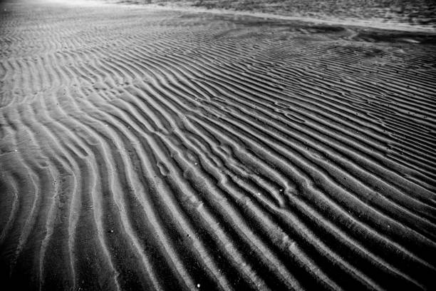 istock Sandy lines at low tide in black and white 889134030