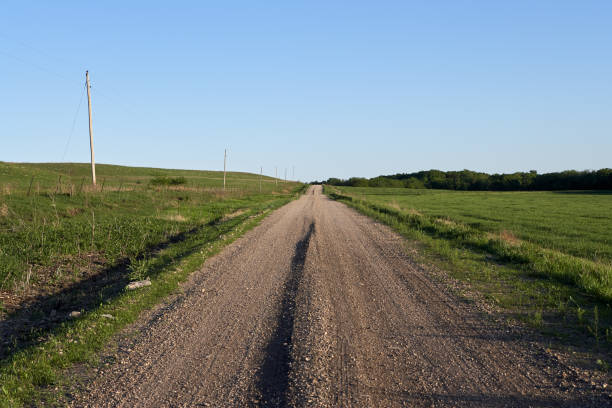 istock Rural dirt road with electricity poles 889136428