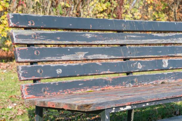 istock Close up of a park bench in a public park 889171300