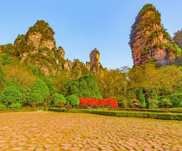 istock Zhangjiajie Forest Park. 889179808