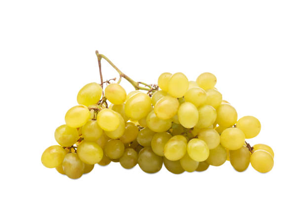 istock A grape of green grapes. Isolated on white background. 889182176