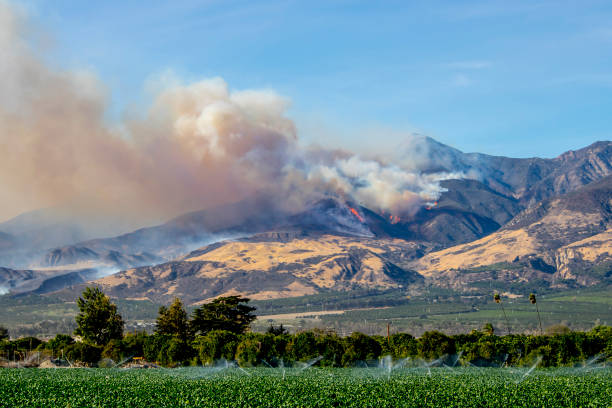 Wildfire Thomas Fire Burns in Mountains in Ventura County California stock photo