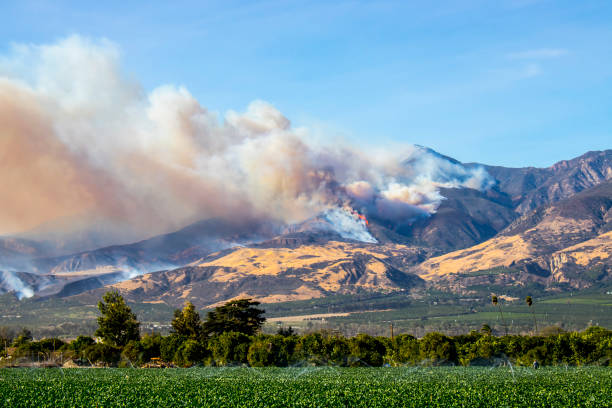 直升機在加利福尼亞的山丘上撲滅野火 - wildfire smoke 個照片及圖片檔