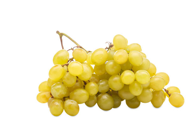 istock Bunch of grapes on a white background. Isolation. 889182458