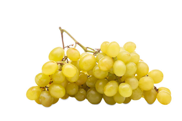 istock Beautiful big bunch of grapes. Isolation. 889182486