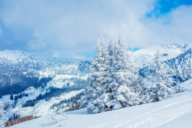 istock Winter in the austrian alps 889193338