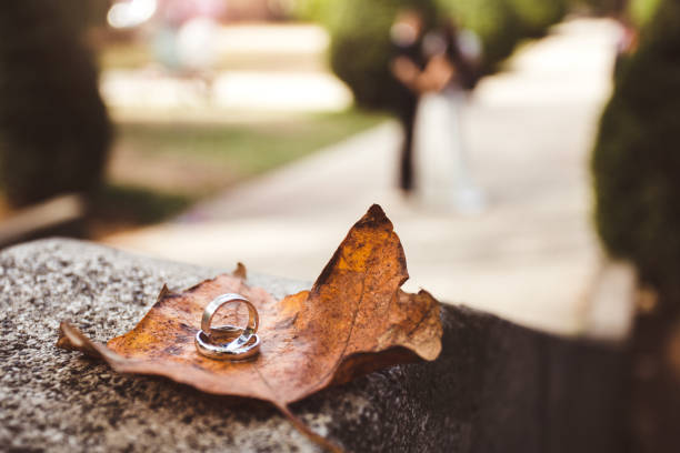 trauringe auf blatt - young women wedding married engagement ring stock-fotos und bilder