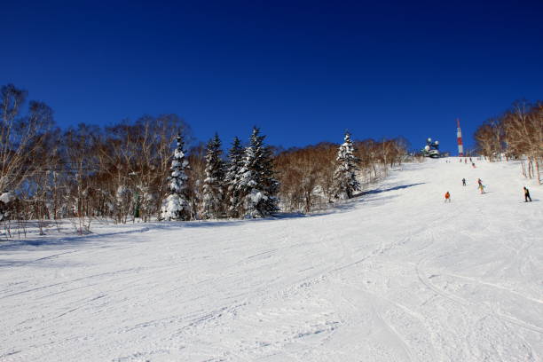 istock Hokkaido ski resort 889203760
