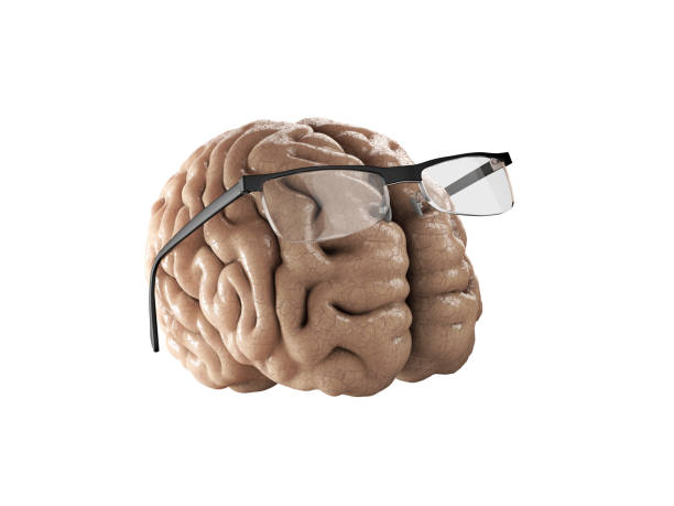 istock 3d Illustration of brain with glasses. isolated white 889246914